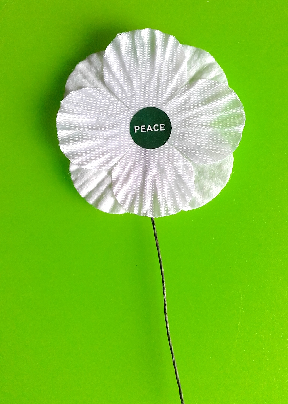 The Peace Pledge Union took over the production of the white poppy in 1936